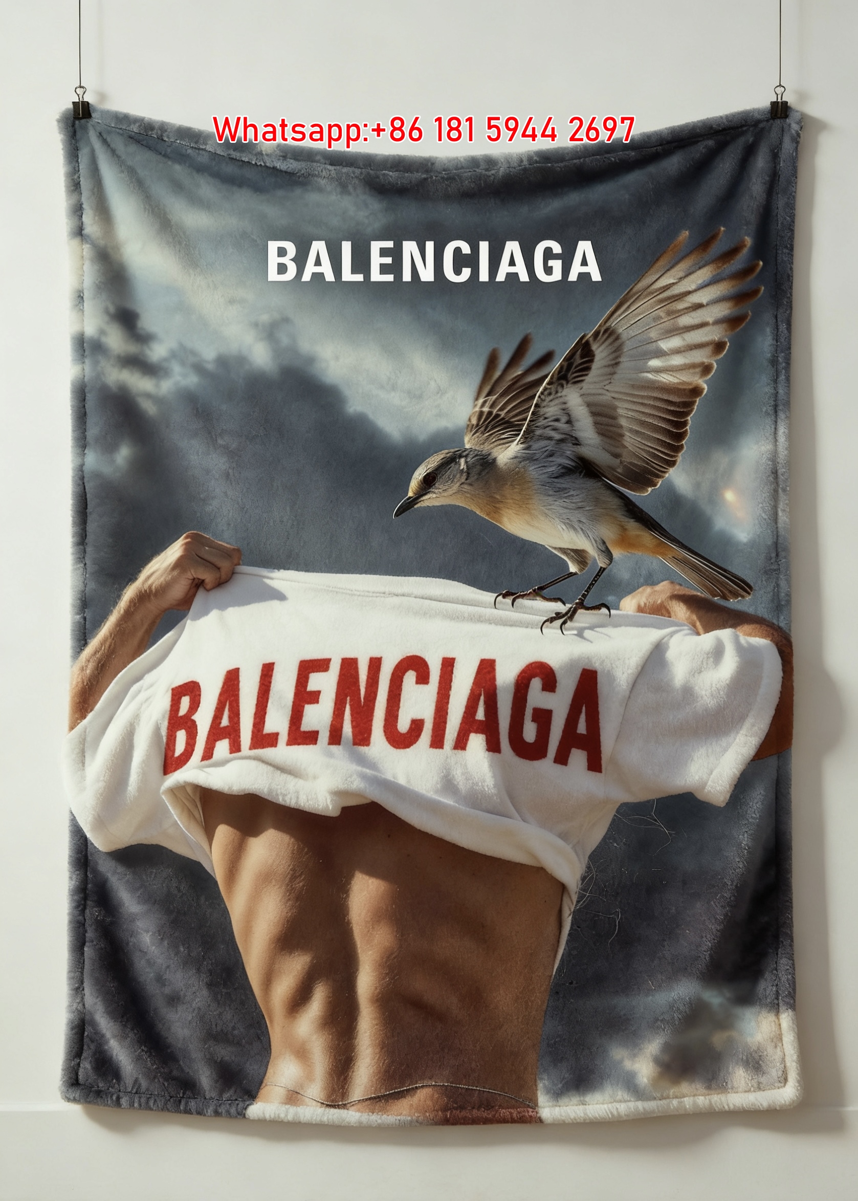 BALENCIAGA Bird & Muscle Tee Flannel Sofa Throw Blanket for Wall Decor BA068